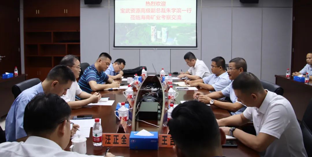 宝武资源高级副总裁朱学滨一行到访尊龙凯时 共商深化相助