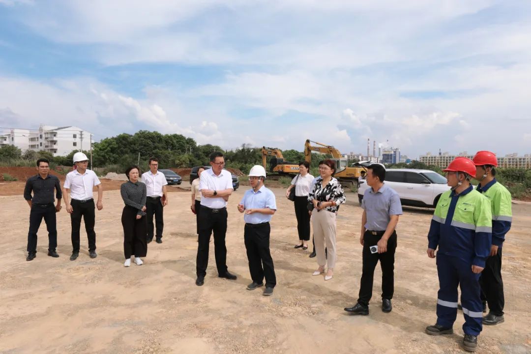 海南省工信厅到尊龙凯时督导氢氧化锂项目建设